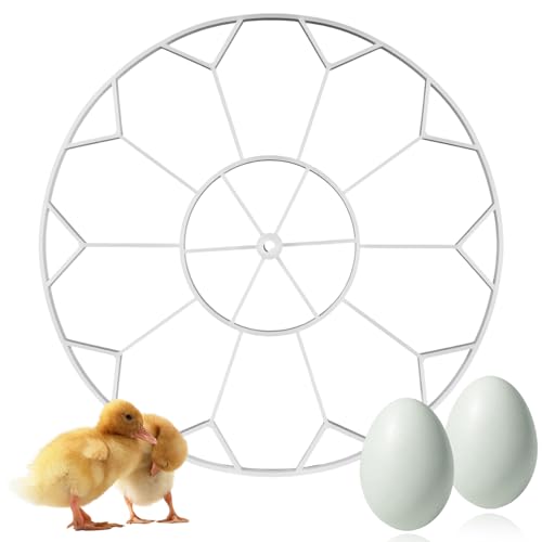 10 Jumbo Eggs JGT360 Goose Egg Tray Compatible with Nurture Right 360 Incubator, Large Goose Egg Turner Tray for Incubating Geese and Other Poultry