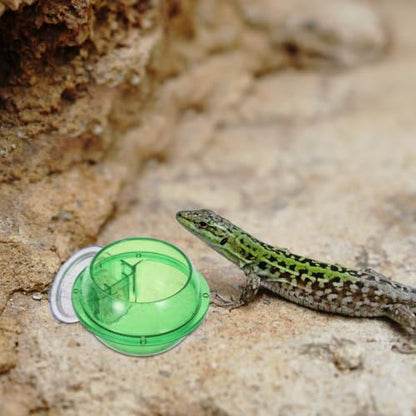 Balacoo Reptile Feeder Bowl with Suction Cup Pet Food and Water Dish for Lizards Turtles Chameleons Geckos and Other Small Reptiles Stable Wall Mount 3.93X3.14X2.36 Inch
