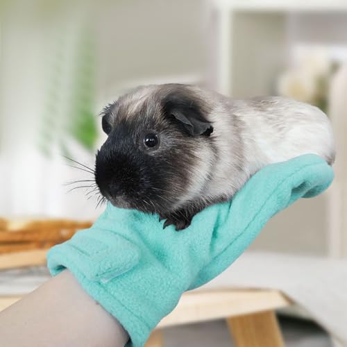 Anti Bite Gloves | Scratch Resistant Mitts - Hamster Calming Gloves | for Sugar Petaur Bird Parrot Hedgehog - color: Blue