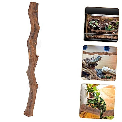 BESTonZON Wooden Tree Branch Reptile Accessory for Bearded Dragons Chameleons and Geckos Natural Climbing Rack for Relief and Exercise Terrarium Decoration