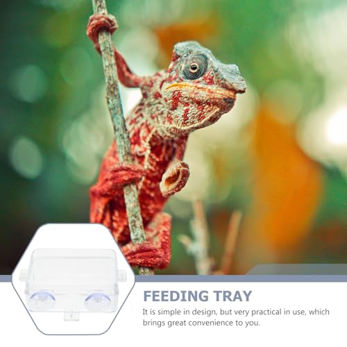 Cabilock Escape-Proof Reptile Feeding Bowls 2pcs Small Reptile Food and Water Basins with Suction Cups for Bearded Dragon, Gecko, Lizard Terrarium Supplies