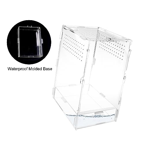 NANEEZOO Micro Habitat Terrariums with Locking Latch, 8x6x12 Inches Acrylic Reptile Tank with Water-tight Base, Arboreal Enclosure for Tarantula Jumping Spiders Small Tree Dwelling Reptiles (Arboreal)