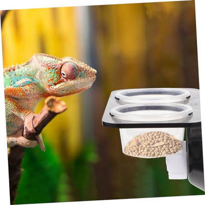 BESPORTBLE 1set Hanging Reptile Food Dishes Suction Cups Dual Compartment Feeder for Tortoise Gecko and Lizard Bowls for Easy Feeding and Hydration