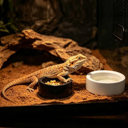 4 Pcs Reptile Food Dish Bowl Ceramic Anti-Escape Mealworms Bowl for Small Reptile Spider Lizard Gecko Frog Turtle Hermit Crab (Circle Shape, Black and White)