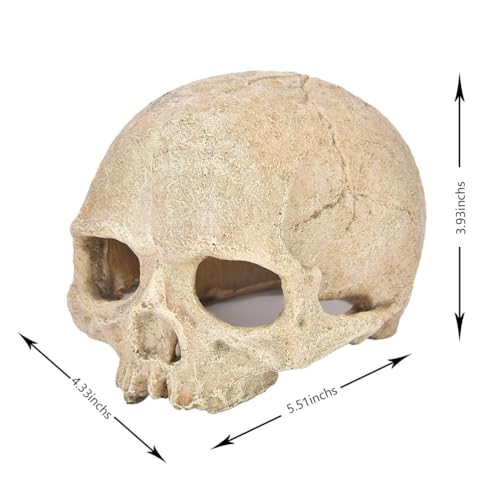 Halloween Aquarium Landscape Skull Aquarium Skull Artificial Skeleton Decoration for Home Décor Aquarium Fish Tank Landscape Collectible Teaching Prop