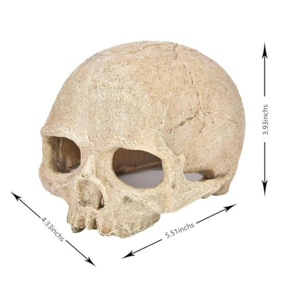 Halloween Aquarium Landscape Skull Aquarium Skull Artificial Skeleton Decoration for Home Décor Aquarium Fish Tank Landscape Collectible Teaching Prop