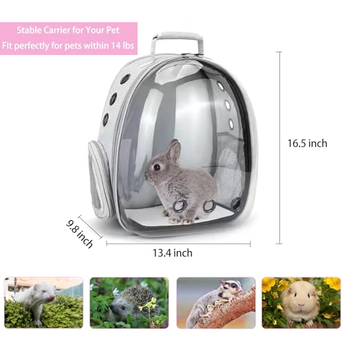 Small Pet Carrier Backpack Rabbit Carrier with Harness Vest Stretchy Elastic Leash Large Breathable Pet Carrier Airline Approved for Bunny Guinea Pig Ferret Hedgehog Kitten Travel Walking - color: Rabbit Carrier Backpack