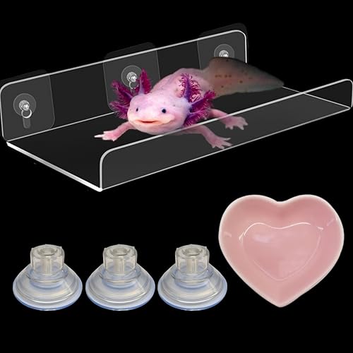 Axolotl Hammock Ledge for Aquarium Tank Accessories and Feeding Dish, Axolotl Hammock with Ceramic Tray Feeder Bowl, Axolotls Accessories for Tank, Bearded Dragon Reptiles Supplies (Pink, 12x6 in) - color: Pink, size: 12x6 in