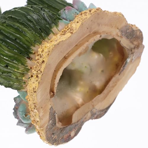 ibasenice Artificial Cactus Plant for Reptile Terrarium, Resin Desert Succulent Decor with Reptile Hiding Hut, Plastic Habitat Landscape for Tortoise and Lizard Tanks
