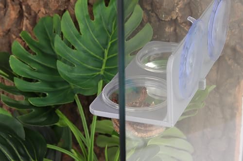 Crested Gecko Feeding Ledge with 10PCS Gecko Food Water Dish - Gray - color: Gray