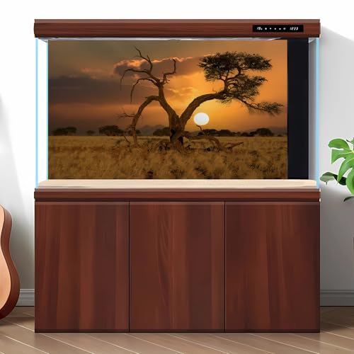 Sunset Desert Reptile Tank Background Beautiful Sunrise Desert Old Tree Terrarium Background Sand Peaks Dunes Sunset Over Desert Reptile Habitat Background Sunset Desert Aquarium Background 30x12in - size: 30(W)x12(H)inches/ 75(W)*30cm(H)