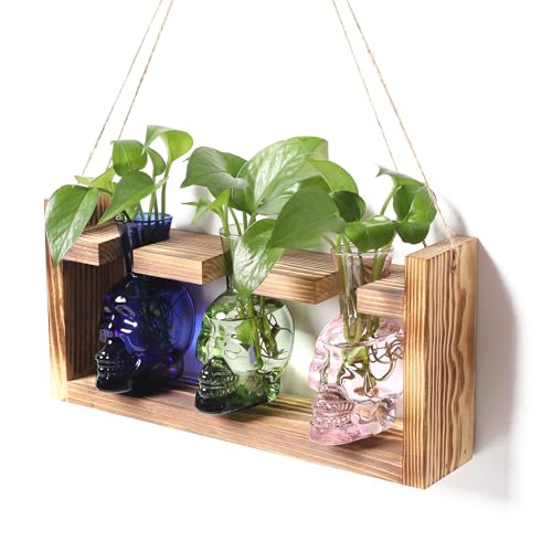 Plant Terrarium Propagation Stations Hydroponics Halloween Skull Planter | Vase skulls decor With Wooden Stand Gife for Father - color: Color-01