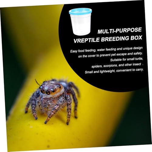 1Pc Transparent Reptile Feeding Container Mini Breeding Box for Turtles Fish More Safe Ventilated Habitat for Pet Reptiles
