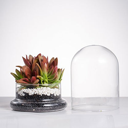NCYP Small Clear Decorative Glass Terrarium Cloche with Air Hole - 4.7 x 4.7 x 6.3 Inches Glass Dome with Base for Miniature Plants - Display Storage (No Plants Included) - size: 4.7x4.7x6.3inches