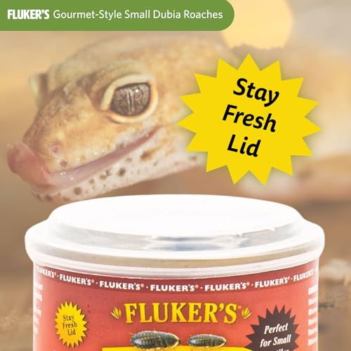 Fluker's Gourmet Canned Food for Reptiles, Fish, Birds and Small Animals, Small Dubia Roaches, 1.2 oz - size: 1.2 Ounce (Pack of 1), style: Small Dubia Roaches