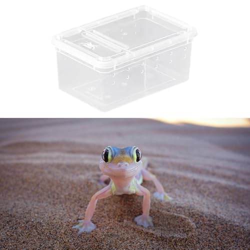 Reptile Breeding Case Lightweight Clear Feeding Box Reptile Habitat Portable Animal Container PP Material Suitable for Feeding Pets hatchling Raising, Style A - size: Style A