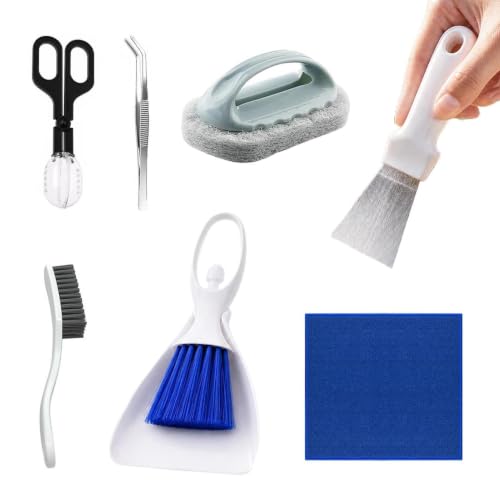 Reptile Tank Cleaner, Cage Cleaning Kit, Dustpan Brush with Refined Texture, Feeding Tongs with Sturdy Panel, 1set Bearded Dragon Supplies, Terrarium Utility for Lizard Gecko Snake Turtle Frog