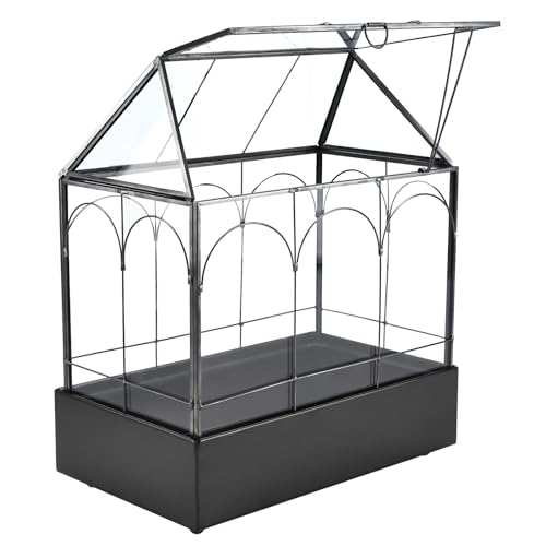 HighFree Glass Terrarium with Metal Tray, Glass Greenhouse Terrarium Kit for Succulents, Cacti, Snails, Spiders, and Miniature Reptiles, Black (Large-9.45" L x 5.7" W x 11.8" H) - size: Large-9.45"L x 5.7"W x 11.8"H