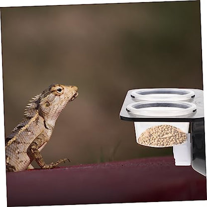 Reptile Feeder with Suction Cup Double Cup Food and Water Bowl for Lizards Geckos Bearded Dragons Easy to Clean and Install Feeding Tool for Crawling Pets