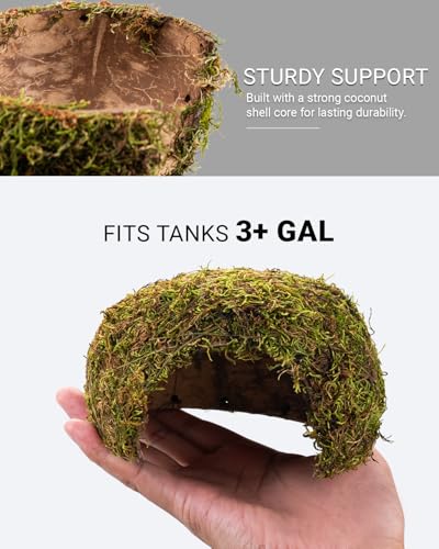 Reptile Hides and Caves – Leopard Gecko Tank Accessories, Natural Dome Reptile Cave & Shelter, Gecko Tank Accessories & Hermit Crab Shelter, Hamster Cage Accessories