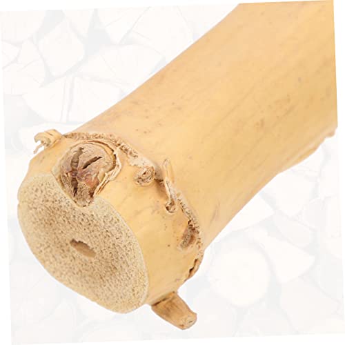 Abaodam Reptile Climbing Branch Toy for Terrarium Natural and Grapevine Wood Stand for Lizards Geckos and Pets Encourages Exercise and Coordination Fun Environment