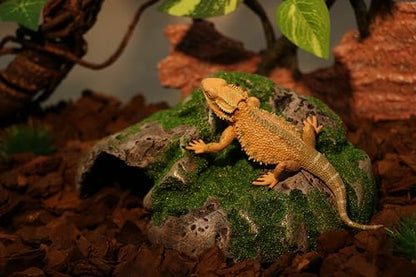 AQUA KT Terrarium Reptile Hideout Cave Rock with Basking Platform for Lizard Snake Bearded Dragon Climbing Amphibian Habitat