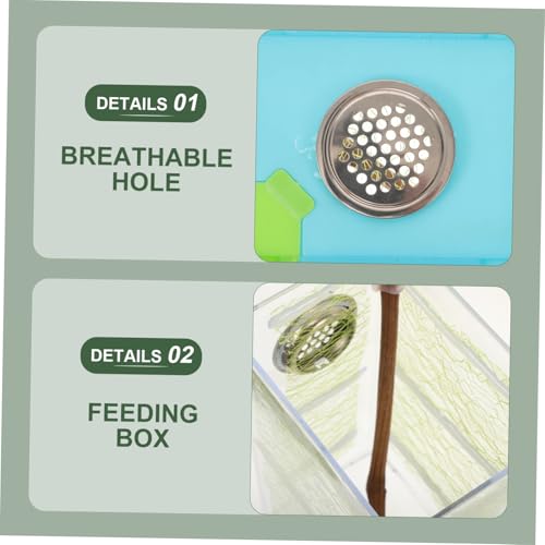 ERINGOGO 1set Transparent Reptile Feeding Box for Stick and Clear Breeding Habitat Optimal Ventilation and Space Educational Terrarium for Observation and Care