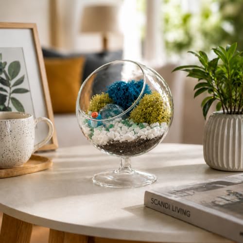 Creations by Nathalie DIY 6" Chalice Terrarium Kit Build Your Own Glass Terrarium for Adults & Teens, DIY Terrarium Kit with Live Moss, Crystals, Soil (Plant Not Included) - color: 6" Chalice