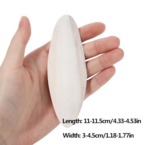 6 Pcs Natural Cuttlebone for Birds Parakeets Pure Cuttlebone Calcium Stone for Parakeets Canaries Cockatiels Tortoise Turtles Cockatiel 11-11.5cm /4.3-4.5”
