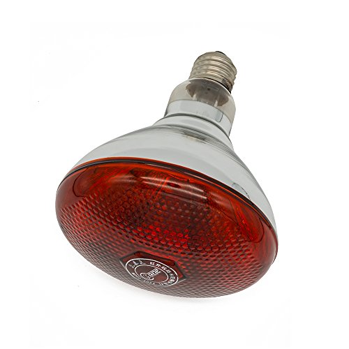 Infrared Bulb Red Hard Explosion-Proof Glass Infrared Heating Lamp for Chicken,Pet,Bathroom Warming Light Bulb(250w,120v) - color: Dark Red