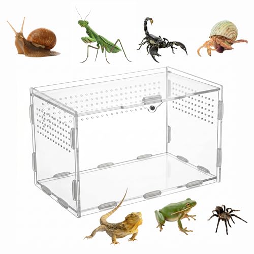 Acrylic Jumping Spider Enclosure，Acrylic Terrarium with Magnetic Door，Habitat for Mantis, Tarantula, Spiders, Mantises, Geckos, Tarantulas & Frogs（Horizontal Type）
