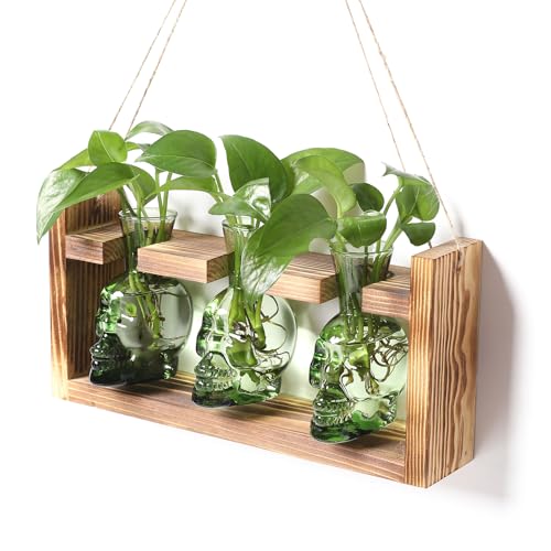 Plant Terrarium Propagation Stations Hydroponics Halloween Skull Planter | Vase skulls decor With Wooden Stand Gife for Father - color: Green