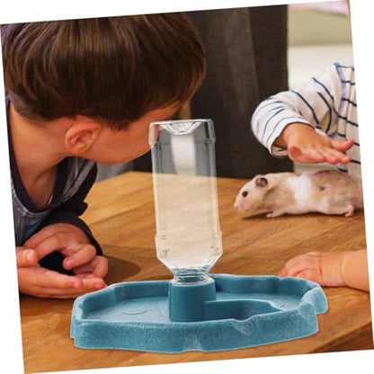 BESPORTBLE 2pcs Bearded Dragon Water Dish and Food Bowl Durable Reptile Feeder for Tortoises Lizards and Amphibians Easy to Clean and Maintain for Pet Hydration and Feeding Needs