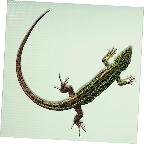 SUPVOX Reptile Carpet Liner for Bearded Dragon and Leopard Eva Substrate Mat for Terrarium Easy to Clean for Reptile Habitats - color: Light Green