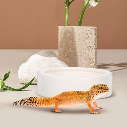 SECFOU Reptile Feeding Bowls Anti-Escape Design 2 Pcs Ceramic Space-Saving Round Bowls for Lizards and Small Reptile Animals for Terrarium Use