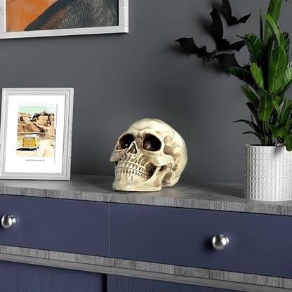 READAEER Life Size Resin Skull, Large Size Adult Skull Head Model for Home Decoration, Halloween Skull Statue, Human Skull Head Model (White)