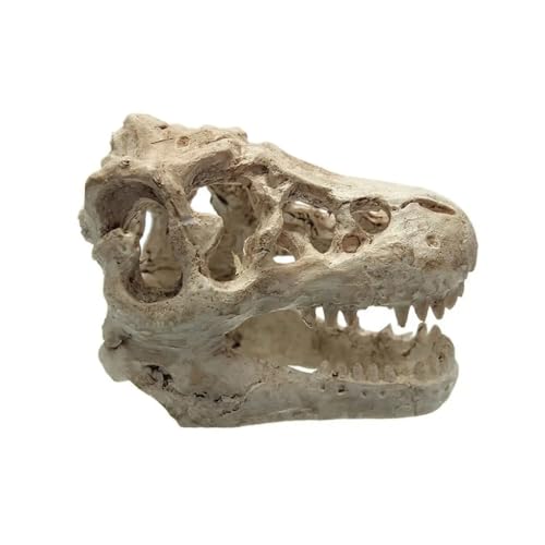 HEPBAK 1 Pcs Dragon Resin Aquarium/Terrarium Decoration Crocodile Skull for Fish Tank Resin Ornament Decorate Your Aquarium, White