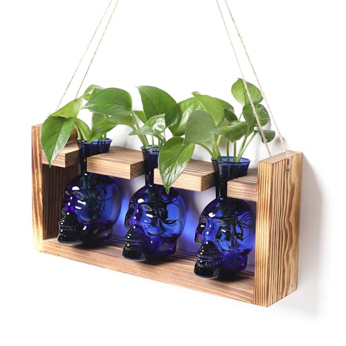 Plant Terrarium Propagation Stations Hydroponics Halloween Skull Planter | Vase skulls decor With Wooden Stand Gife for Father - color: Blue