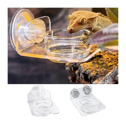 Magnetic Reptile Feeding Ledge Suction Cup Food Tray Gecko Reptile Feeding Station for Lizards Chameleons Terrarium Bowls(B) - color: B