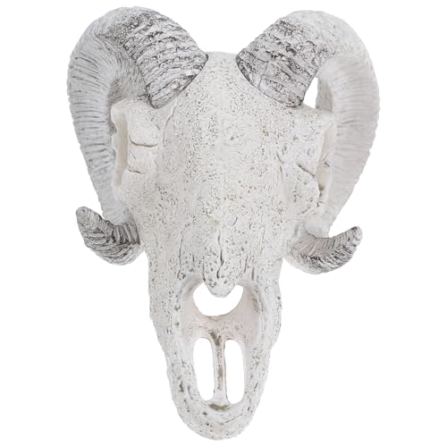 ORFOFE Reptile Skull Hideout Cave Aquarium Decoration Large Resin Skull Ornament for Fish Tank and Terrarium Habitat Decor