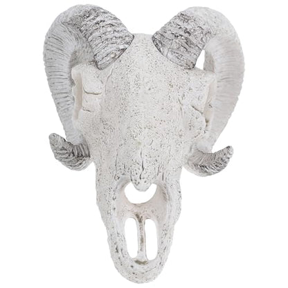 ORFOFE Reptile Skull Hideout Cave Aquarium Decoration Large Resin Skull Ornament for Fish Tank and Terrarium Habitat Decor