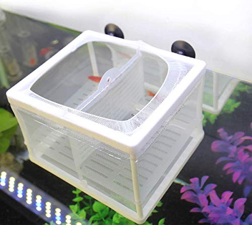 Senzeal Aquarium Fish Breeder Box Fish Fry Hatchery Incubator Net Nylon Isolation Mesh with 3pcs Pipette(Small) - size: Small