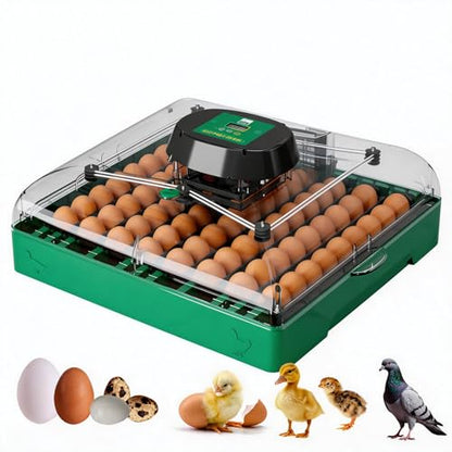 Egg Incubator for Chicken Eggs, Max 72 Egg Large Capacity with Automatic Egg Turner and Humidity Control, Egg Hatching Incubator for Chicken, Quail, Duck with 360° Clear View for Farm & Classroom