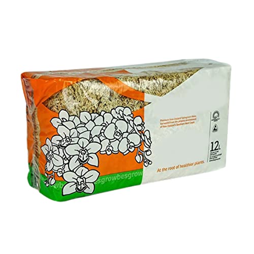 Sphagnum Moss Dried Spagnum Dry Moss for Reptiles Bedding and Terrarium Pet Supplies Sphagnum Moss for Plants Sphagnum Moss for Reptiles 150g