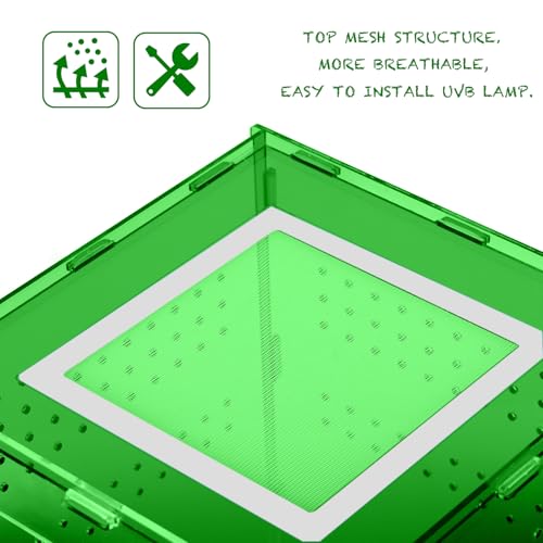 8x8x12 Acrylic Terrarium Reptile Tank – Cyberpunk Deep Green Reptile Enclosure Modeled After New Caledonia Rainforest for Lizards, Spiders & Small Reptiles - color: DeepGreen