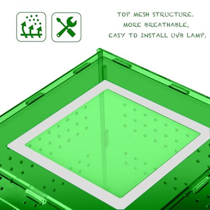 8x8x12 Acrylic Terrarium Reptile Tank – Cyberpunk Deep Green Reptile Enclosure Modeled After New Caledonia Rainforest for Lizards, Spiders & Small Reptiles - color: DeepGreen