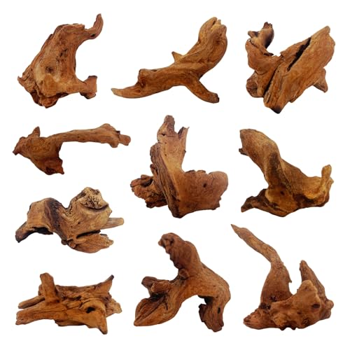 10 Pcs Natural Small Driftwood for Aquarium, Aquarium Driftwood Freshwater 2-4 Inch, Assorted Size Mopani Wood, Twisted Branches for Fishtank Accessories, Reptile Terrariums Decorations - color: 10 Pack Mopani Driftwood 2-4in