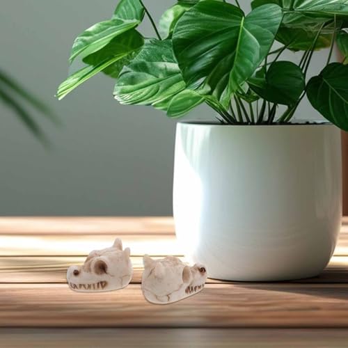 BESPORTBLE Mini Resin Dragon Skull Figurine, 20Pcs Halloween Skeleton Head Statue Miniature Dragon Skulls for Crafts Halloween Micro Landscape Decor
