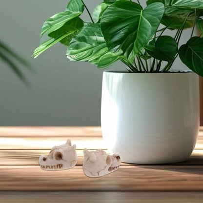BESPORTBLE Mini Resin Dragon Skull Figurine, 20Pcs Halloween Skeleton Head Statue Miniature Dragon Skulls for Crafts Halloween Micro Landscape Decor