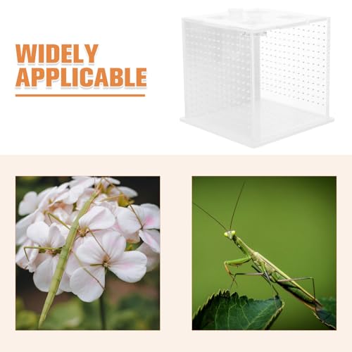 Reptile Feeding Box and Spider Terrarium Plastic Breeding Habitat Enclosure for Jumping Spiders and Frogs Ventilation Suitable for Pet Insects and Small Reptiles